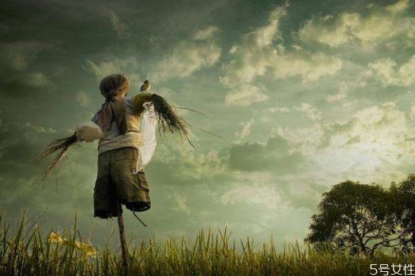 愛(ài)情是否都是公平的呢 愛(ài)情中是否會(huì)卑微呢 愛(ài)情是否都是公平的呢 愛(ài)情中是否會(huì)卑微呢