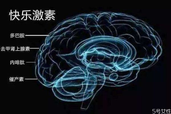 什么是多巴胺呢 多巴胺有什么作用呢 什么是多巴胺呢 多巴胺有什么作用呢