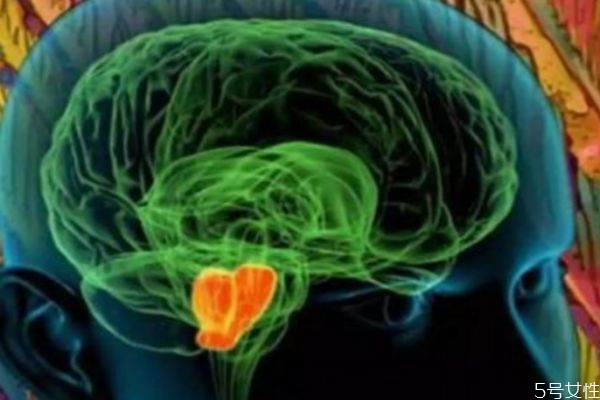 愛情是多巴胺的產(chǎn)物嗎 多巴胺是怎么產(chǎn)生的呢 愛情是多巴胺的產(chǎn)物嗎 多巴胺是怎么產(chǎn)生的呢