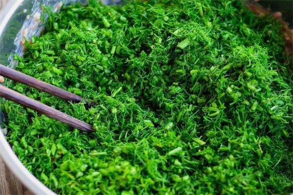 茴香為什么要用淡鹽水泡 洗茴香不用鹽水行嗎 茴香為什么要用淡鹽水泡 洗茴香不用鹽水行嗎