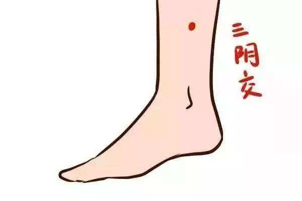 經(jīng)絡(luò)按摩減肥有效嗎 經(jīng)絡(luò)按摩減肥有什么特點(diǎn) 經(jīng)絡(luò)按摩減肥有效嗎 經(jīng)絡(luò)按摩減肥有什么特點(diǎn)