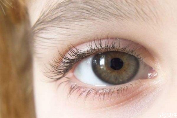 嫁接睫毛可以保持多長(zhǎng)時(shí)間 嫁接睫毛有什么好處 嫁接睫毛可以保持多長(zhǎng)時(shí)間 嫁接睫毛有什么好處