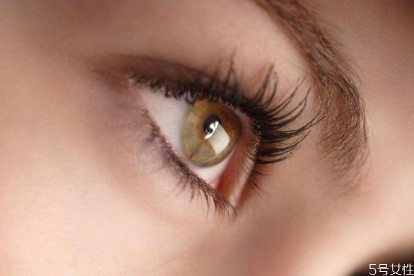 黑眼圈是怎么產(chǎn)生的呢 天生的黑眼圈是怎么造成的呢 黑眼圈是怎么產(chǎn)生的呢 天生的黑眼圈是怎么造成的呢