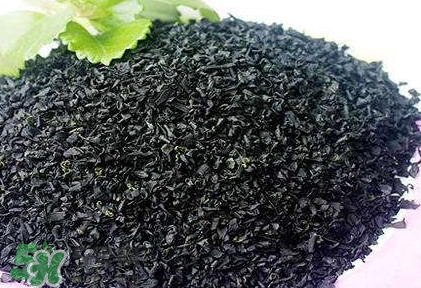 怎么辨別螺旋藻的真假？買螺旋藻怎么挑？