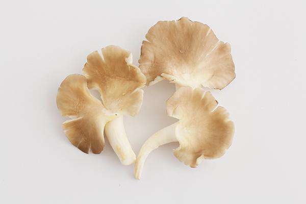 口蘑菇和什么一起炒好吃 吃口蘑菇要注意什么 口蘑菇和什么一起炒好吃 吃口蘑菇要注意什么