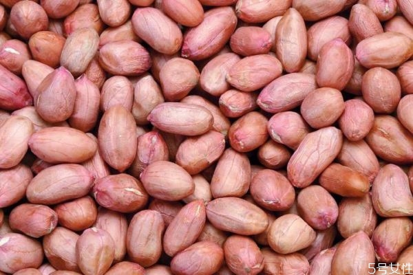 吃花生會(huì)長(zhǎng)胖嗎 花生的熱量有多少呢 吃花生會(huì)長(zhǎng)胖嗎 花生的熱量有多少呢