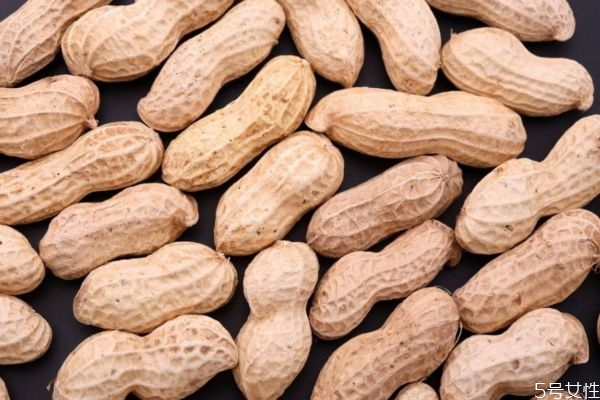 吃花生會(huì)長(zhǎng)胖嗎 花生的熱量有多少呢 吃花生會(huì)長(zhǎng)胖嗎 花生的熱量有多少呢
