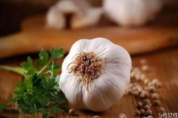 大蒜發(fā)芽了還可以吃嗎 為什么大蒜吃起來好辣 大蒜發(fā)芽了還可以吃嗎 為什么大蒜吃起來好辣