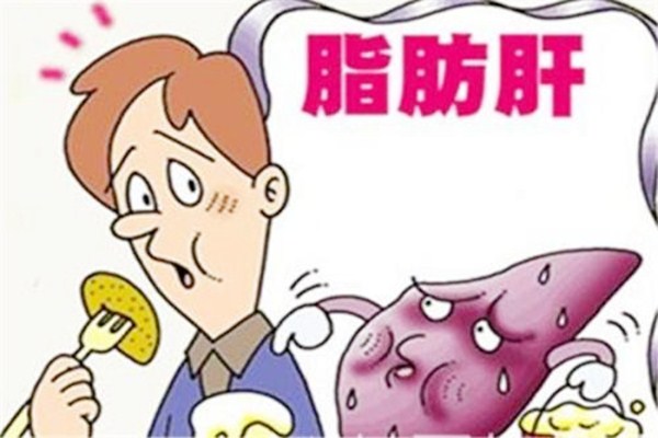 減脂肪肝可以做什么運動 脂肪肝怎么檢查 減脂肪肝可以做什么運動 脂肪肝怎么檢查