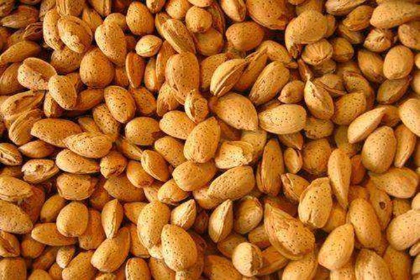 巴坦木能放多長時間 巴坦木可以放冰箱嗎 巴坦木能放多長時間 巴坦木可以放冰箱嗎