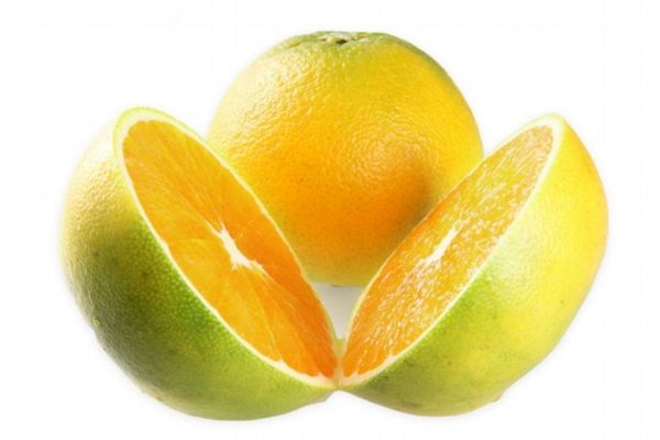 孕婦吃臍橙會(huì)讓讓寶寶黃嗎 孕婦吃臍橙有什么好處 孕婦吃臍橙會(huì)讓讓寶寶黃嗎 孕婦吃臍橙有什么好處