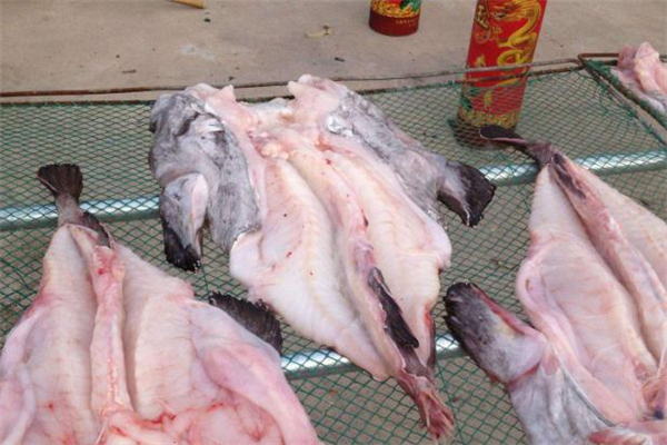 安康魚(yú)的皮能吃嗎 安康魚(yú)有寄生蟲(chóng)嗎 安康魚(yú)的皮能吃嗎 安康魚(yú)有寄生蟲(chóng)嗎