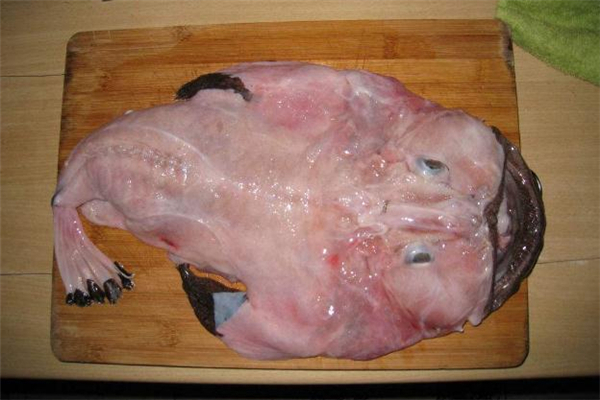 安康魚什么人不能吃 嬰兒能吃安康魚嗎 安康魚什么人不能吃 嬰兒能吃安康魚嗎