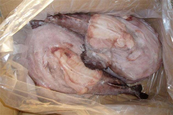 安康魚不能和什么一起吃 安康魚魚籽可以吃嗎 安康魚不能和什么一起吃 安康魚魚籽可以吃嗎