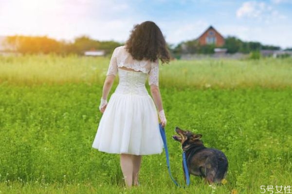 懷孕可以養(yǎng)兔子嗎 懷孕可以養(yǎng)寵物嗎 懷孕可以養(yǎng)兔子嗎 懷孕可以養(yǎng)寵物嗎