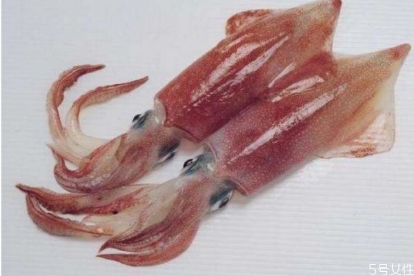 吃墨魚有什么好處呢 墨魚怎么做好吃呢 吃墨魚有什么好處呢 墨魚怎么做好吃呢