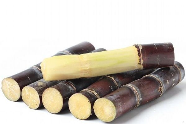 吃甘蔗會(huì)導(dǎo)致牙齒松動(dòng)嗎 吃甘蔗應(yīng)該注意什么呢 吃甘蔗會(huì)導(dǎo)致牙齒松動(dòng)嗎 吃甘蔗應(yīng)該注意什么呢