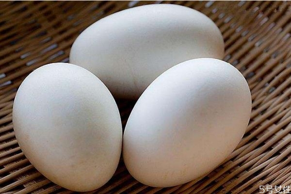 懷孕能吃鵝蛋嗎 懷孕吃鵝蛋會怎么樣呢 懷孕能吃鵝蛋嗎 懷孕吃鵝蛋會怎么樣呢