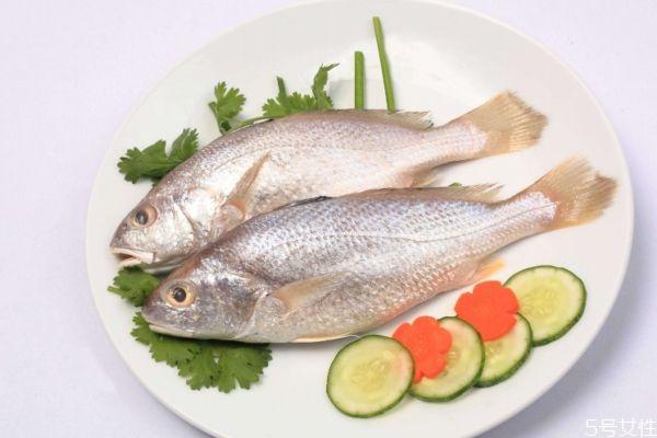 什么是白姑魚呢 白姑魚有什么營(yíng)養(yǎng)價(jià)值呢