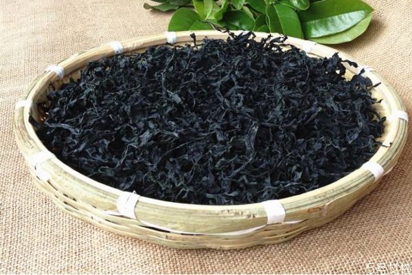 什么是海木耳呢 海木耳有什么營養(yǎng)價值呢 什么是海木耳呢 海木耳有什么營養(yǎng)價值呢