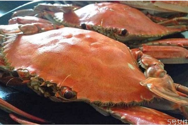 梭子蟹怎么做好吃呢 梭子蟹應該怎么挑選呢 梭子蟹怎么做好吃呢 梭子蟹應該怎么挑選呢