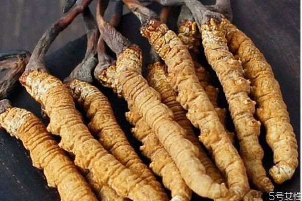 蟲草有什么功效呢 蟲草生長在哪里呢 蟲草有什么功效呢 蟲草生長在哪里呢