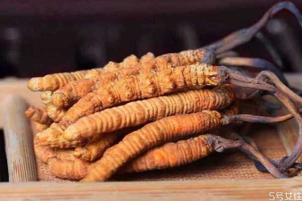 蟲草有什么功效呢 蟲草生長在哪里呢 蟲草有什么功效呢 蟲草生長在哪里呢