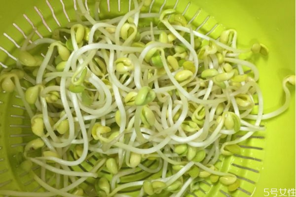 豆芽有什么營養(yǎng)價(jià)值呢 吃豆芽有什么好處呢 豆芽有什么營養(yǎng)價(jià)值呢 吃豆芽有什么好處呢