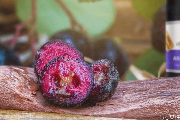 什么野櫻莓呢 野櫻莓有什么營(yíng)養(yǎng)價(jià)值呢 什么野櫻莓呢 野櫻莓有什么營(yíng)養(yǎng)價(jià)值呢