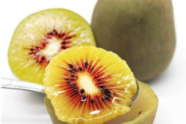 孕婦可以吃紅心獼猴桃嗎 什么人不能吃紅心獼猴桃呢 孕婦可以吃紅心獼猴桃嗎 什么人不能吃紅心獼猴桃呢