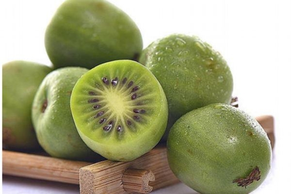 什么是軟棗獼猴桃呢 軟棗獼猴桃有什么營養(yǎng)價值呢 什么是軟棗獼猴桃呢 軟棗獼猴桃有什么營養(yǎng)價值呢