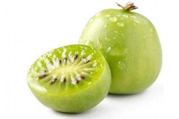什么是軟棗獼猴桃呢 軟棗獼猴桃有什么營養(yǎng)價值呢 什么是軟棗獼猴桃呢 軟棗獼猴桃有什么營養(yǎng)價值呢