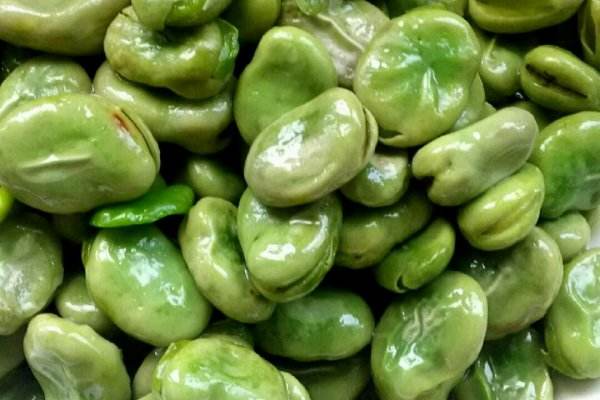 吃蠶豆過(guò)敏了怎么辦 一天吃多少蠶豆適合 吃蠶豆過(guò)敏了怎么辦 一天吃多少蠶豆適合