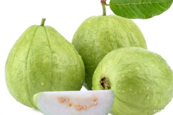 番石榴和石榴有什么區(qū)別呢 如何挑選番石榴呢 番石榴和石榴有什么區(qū)別呢 如何挑選番石榴呢