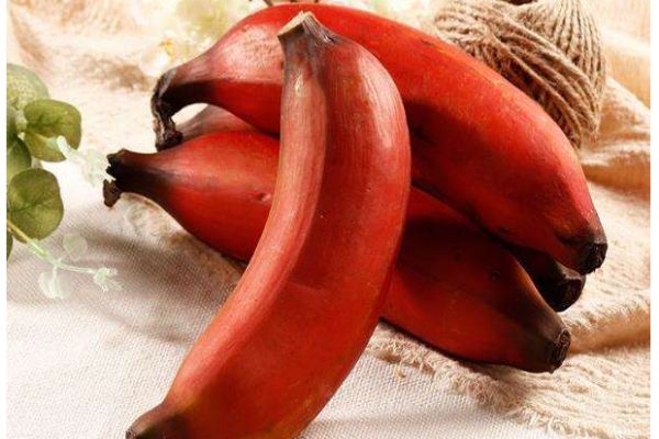 什么是紅香蕉呢 紅香蕉有什么營養(yǎng)價(jià)值呢 什么是紅香蕉呢 紅香蕉有什么營養(yǎng)價(jià)值呢