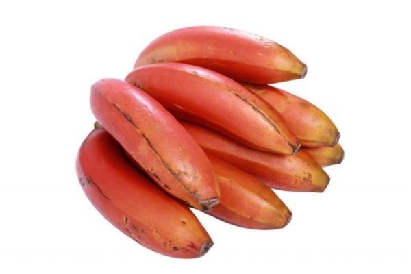 孕婦可以吃紅香蕉嗎 紅香蕉多少錢(qián)一斤呢