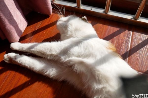 曬太陽有什么好處嗎 曬太陽的作用有什么呢 曬太陽有什么好處嗎 曬太陽的作用有什么呢