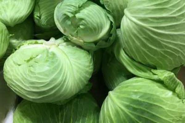 如何炒包菜又軟又入味 包菜怎么炒不會(huì)出水