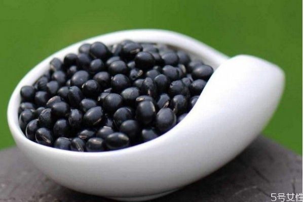 黑豆?jié){和豆?jié){有什么區(qū)別呢 黑豆?jié){營養(yǎng)價(jià)值有什么呢 黑豆?jié){和豆?jié){有什么區(qū)別呢 黑豆?jié){營養(yǎng)價(jià)值有什么呢