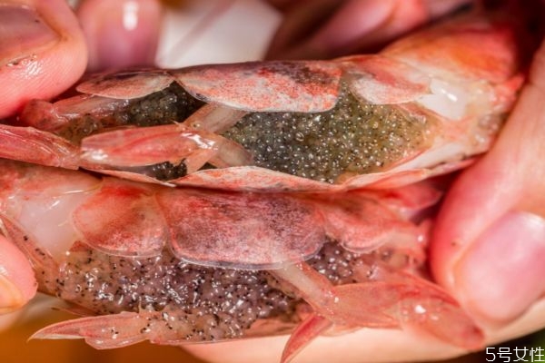 蝦籽有什么營養(yǎng)價(jià)值呢 吃蝦籽有什么好處呢 蝦籽有什么營養(yǎng)價(jià)值呢 吃蝦籽有什么好處呢