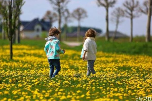 龍鳳胎如何起名字呢 應(yīng)該什么時(shí)候起名字比較好呢 龍鳳胎如何起名字呢 應(yīng)該什么時(shí)候起名字比較好呢