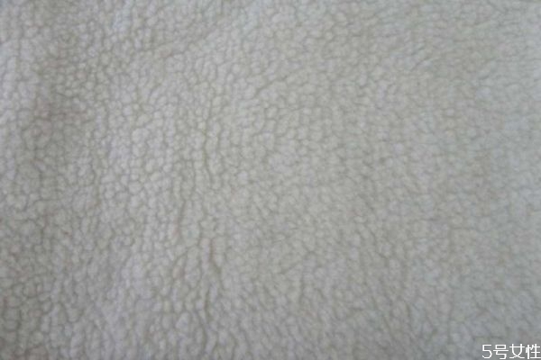 羊羔毛為什么貴 羊羔毛與羊毛哪個(gè)貴 羊羔毛為什么貴 羊羔毛與羊毛哪個(gè)貴