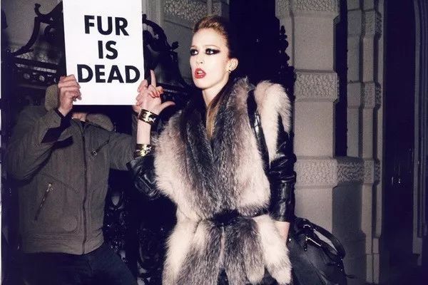 貂皮大衣選購技巧 貂皮大衣選購方法 貂皮大衣選購技巧 貂皮大衣選購方法