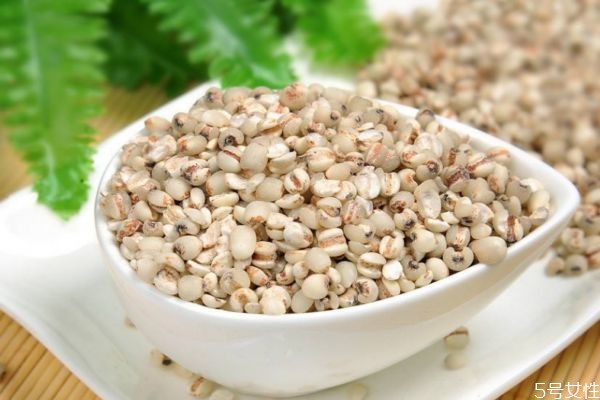 薏仁有什么營(yíng)養(yǎng)價(jià)值呢 吃薏仁有什么好處呢 薏仁有什么營(yíng)養(yǎng)價(jià)值呢 吃薏仁有什么好處呢