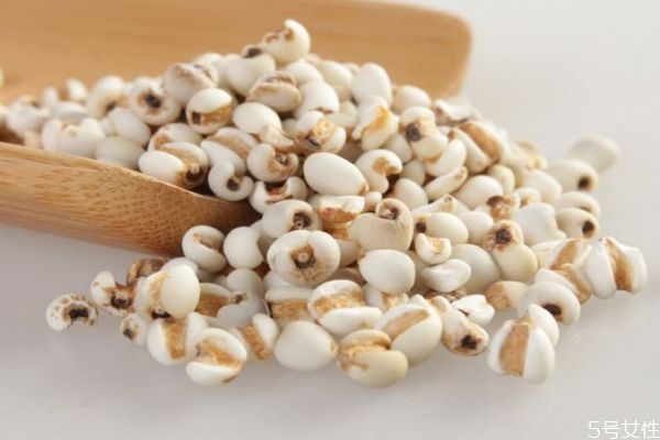 薏仁有什么營(yíng)養(yǎng)價(jià)值呢 吃薏仁有什么好處呢 薏仁有什么營(yíng)養(yǎng)價(jià)值呢 吃薏仁有什么好處呢