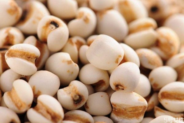 吃薏仁可以減肥嗎 薏仁怎么吃減肥呢 吃薏仁可以減肥嗎 薏仁怎么吃減肥呢