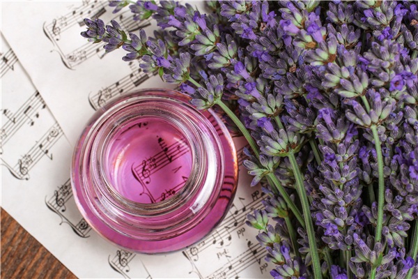 精油能見光嗎 精油過期了還能干什么 精油能見光嗎 精油過期了還能干什么