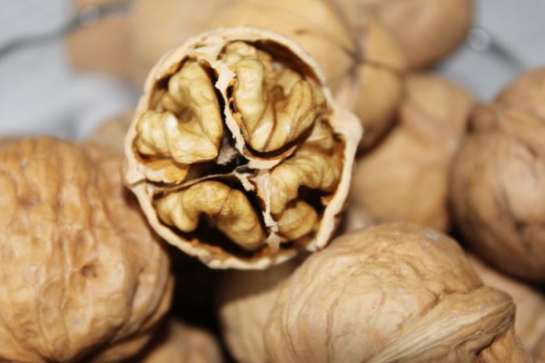 核桃保質(zhì)期多久 核桃怎么吃營(yíng)養(yǎng)價(jià)值高