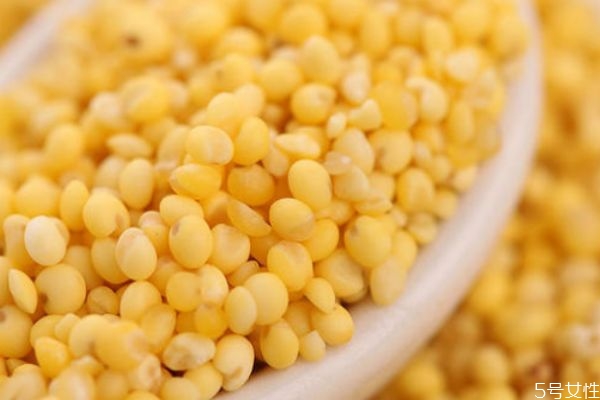 什么是黍米呢 黍米有什么營(yíng)養(yǎng)價(jià)值呢 什么是黍米呢 黍米有什么營(yíng)養(yǎng)價(jià)值呢