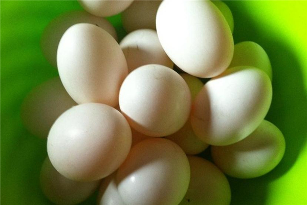 新鮮鴿子蛋怎么保存 鴿子蛋一天適合吃幾個 新鮮鴿子蛋怎么保存 鴿子蛋一天適合吃幾個
